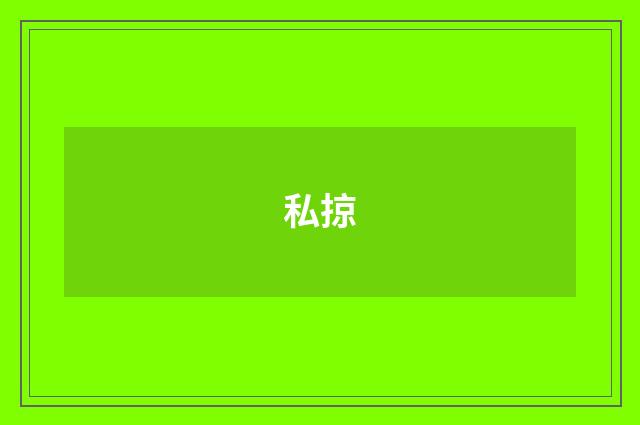 私掠