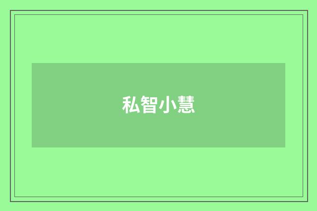 私智小慧