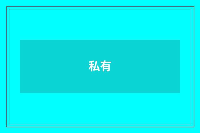 私有
