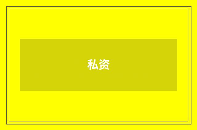 私资