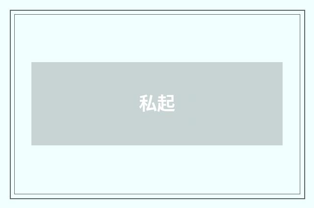 私起