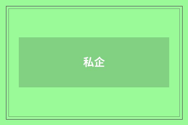 私企
