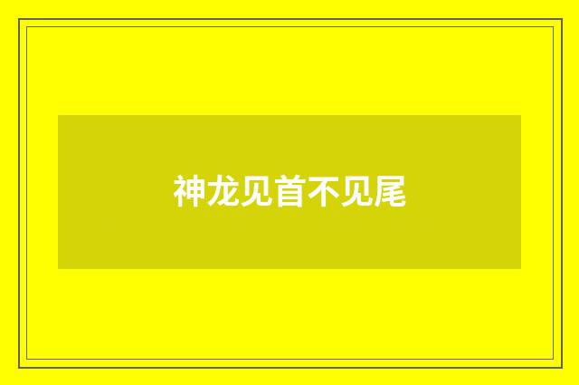神龙见首不见尾