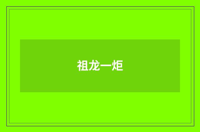 祖龙一炬