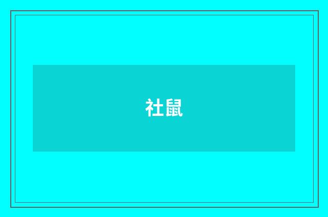 社鼠