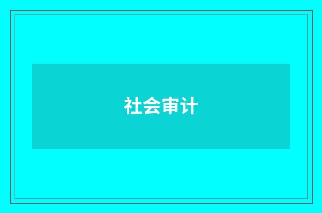 社会审计