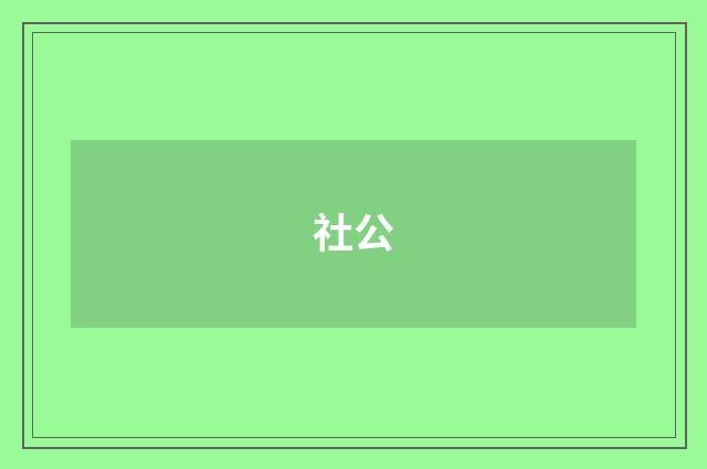 社公