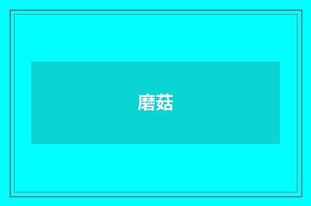 磨菇
