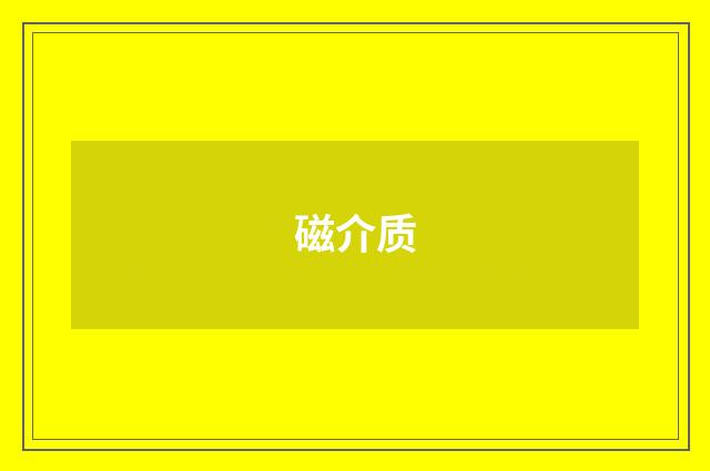 磁介质