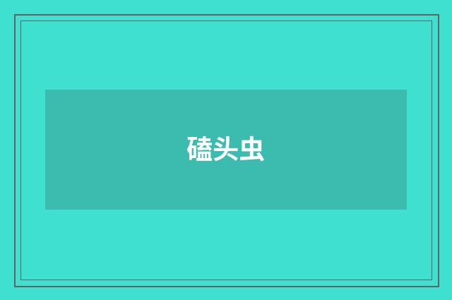磕头虫