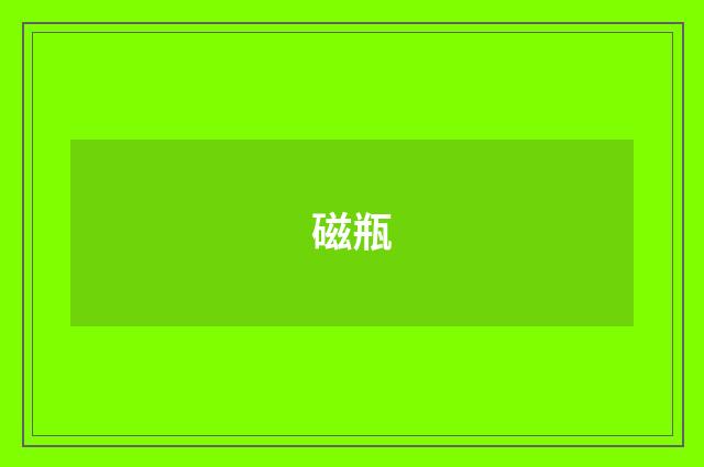 磁瓶