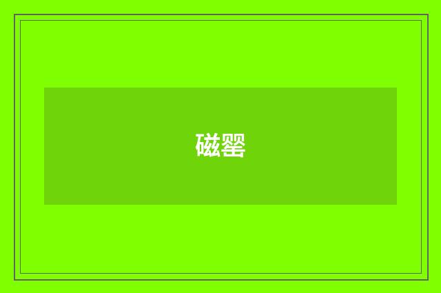 磁罂