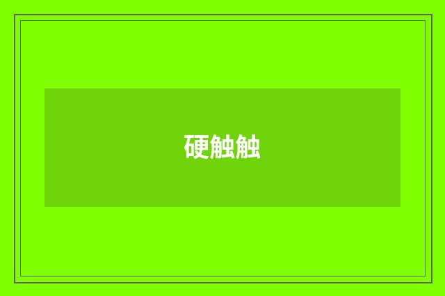 硬触触