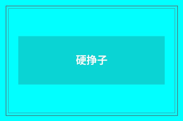 硬挣子