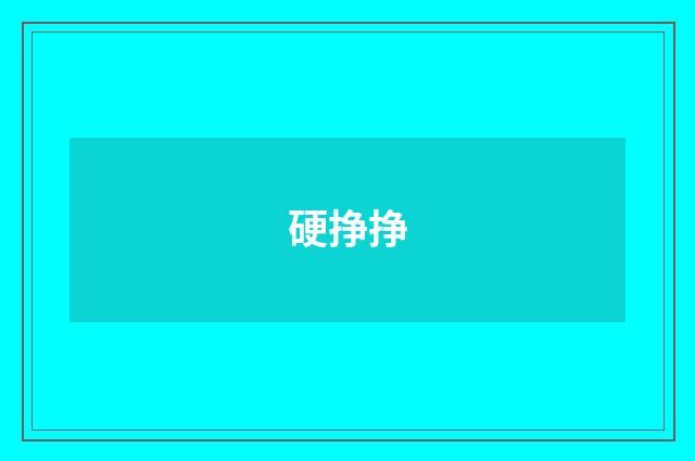 硬挣挣