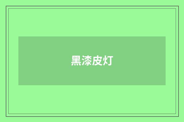 黑漆皮灯