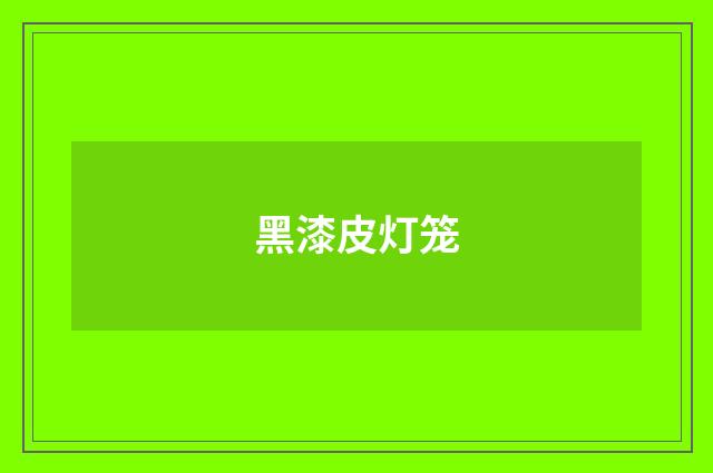 黑漆皮灯笼