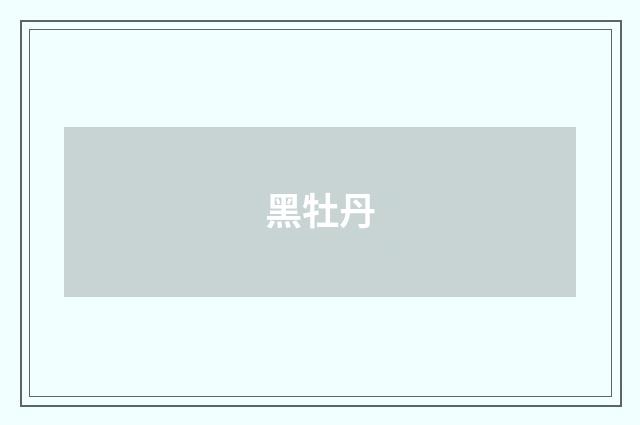 黑牡丹