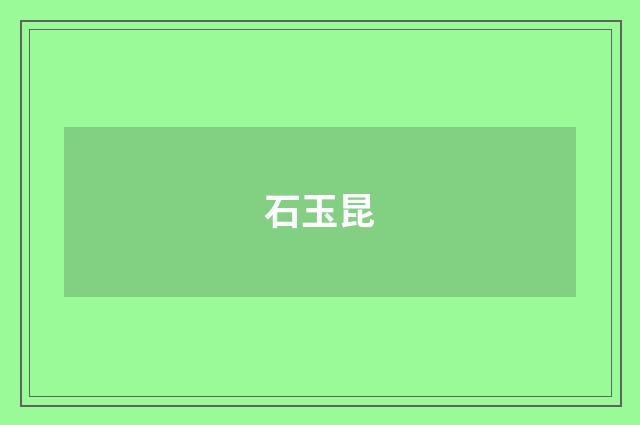 石玉昆