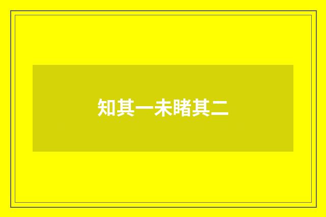 知其一未睹其二