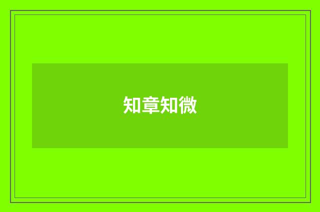 知章知微