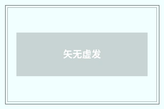 矢无虚发