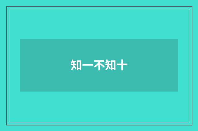 知一不知十