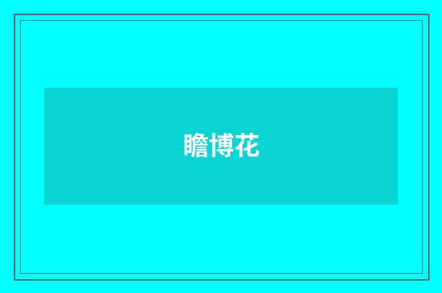 瞻博花