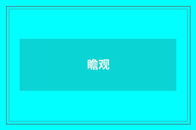 瞻观