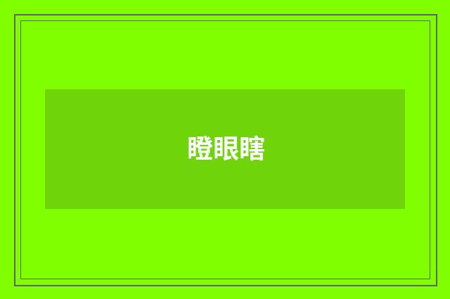 瞪眼瞎