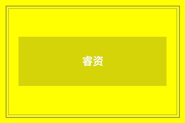 睿资