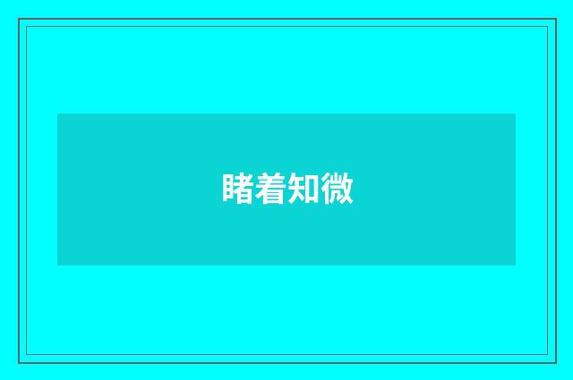 睹着知微