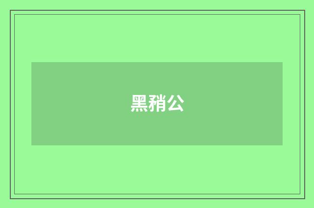 黑矟公
