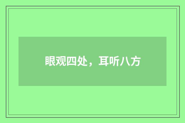 眼观四处，耳听八方