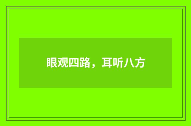 眼观四路，耳听八方