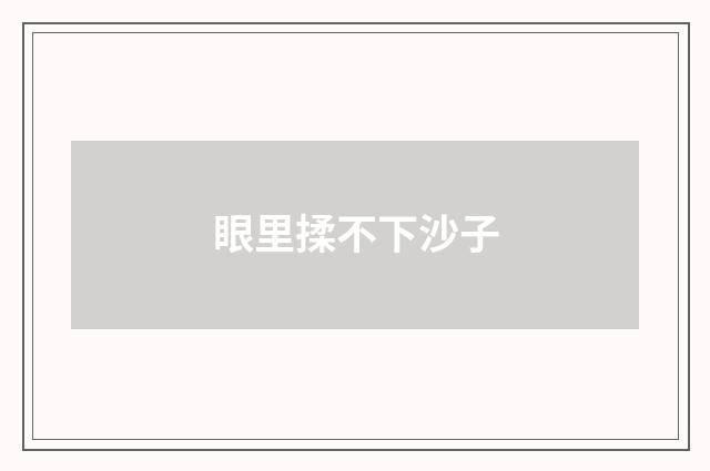 眼里揉不下沙子