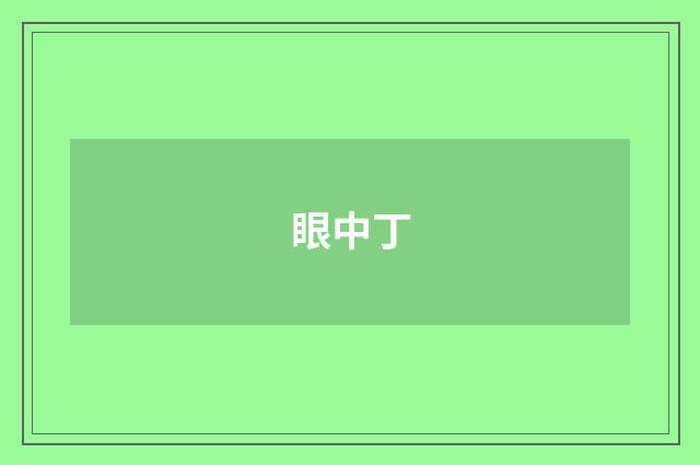 眼中丁