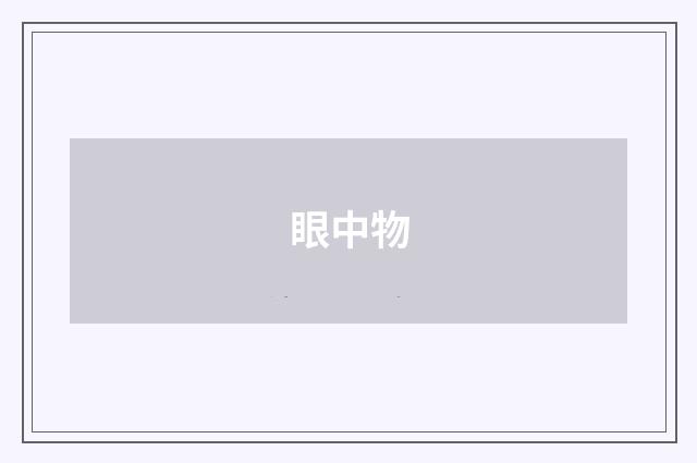 眼中物