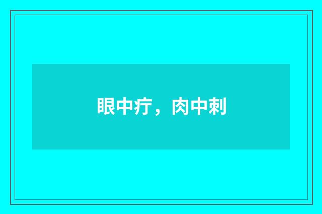 眼中疔，肉中刺