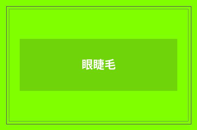 眼睫毛