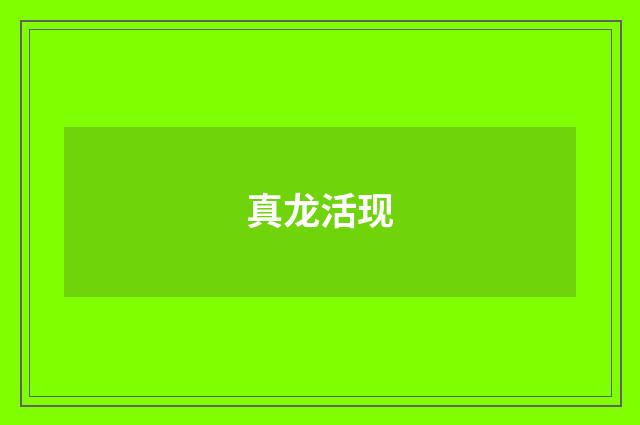 真龙活现