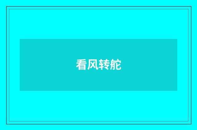 看风转舵
