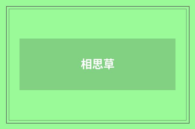 相思草