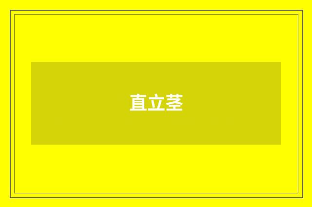直立茎
