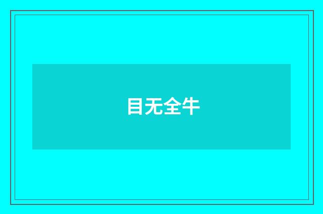 目无全牛
