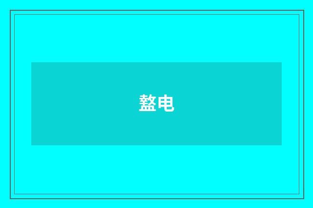 盩电
