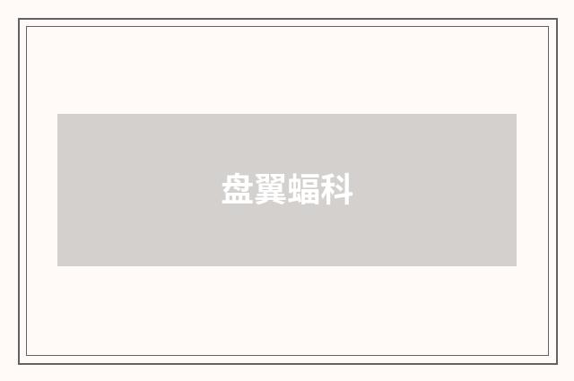 盘翼蝠科