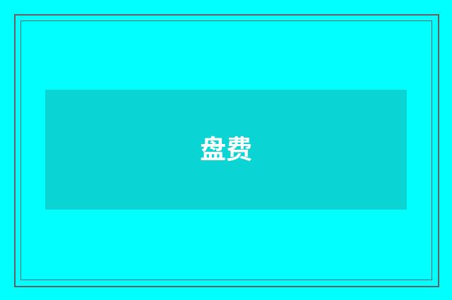 盘费