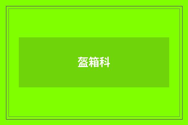 盔箱科