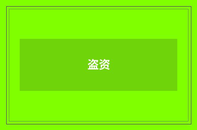 盗资